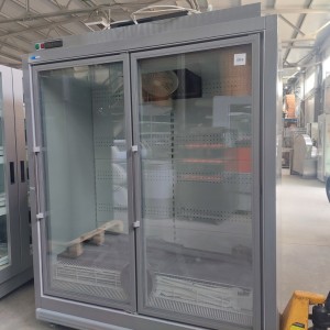 Шкаф низкотемпературный ШН-1.20-4.0 ANZIO LT 2D
